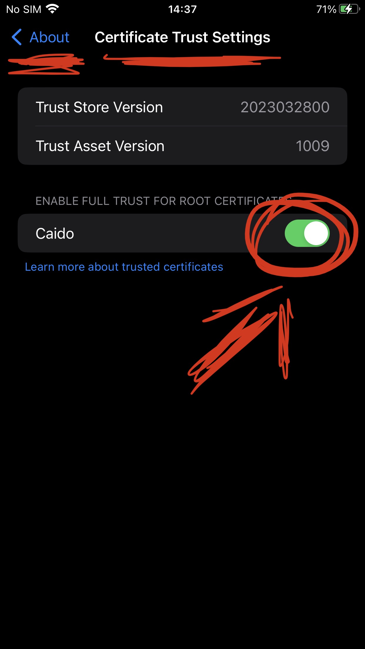 Enable Cert iPhone