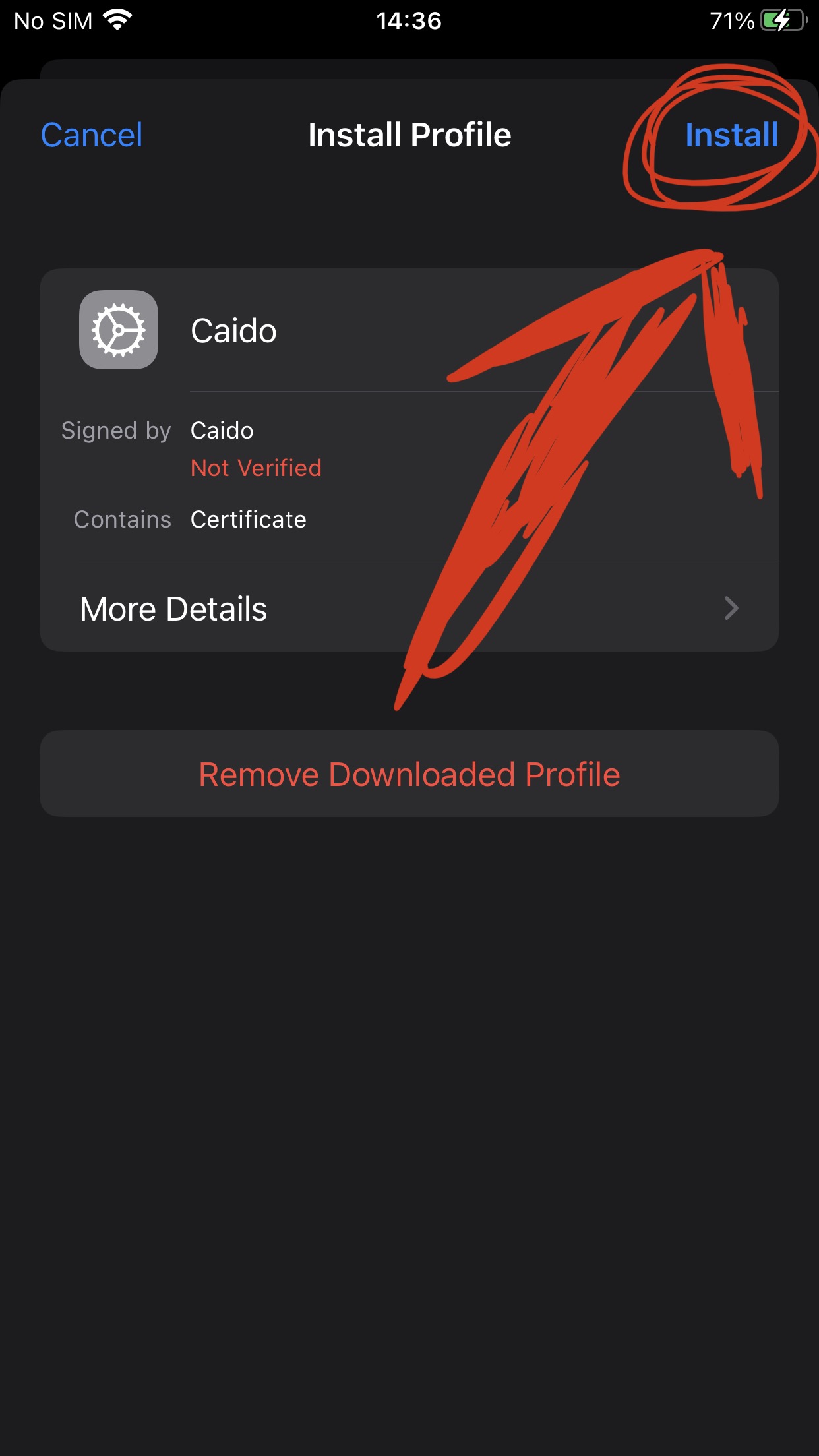 Install Cert iPhone 2