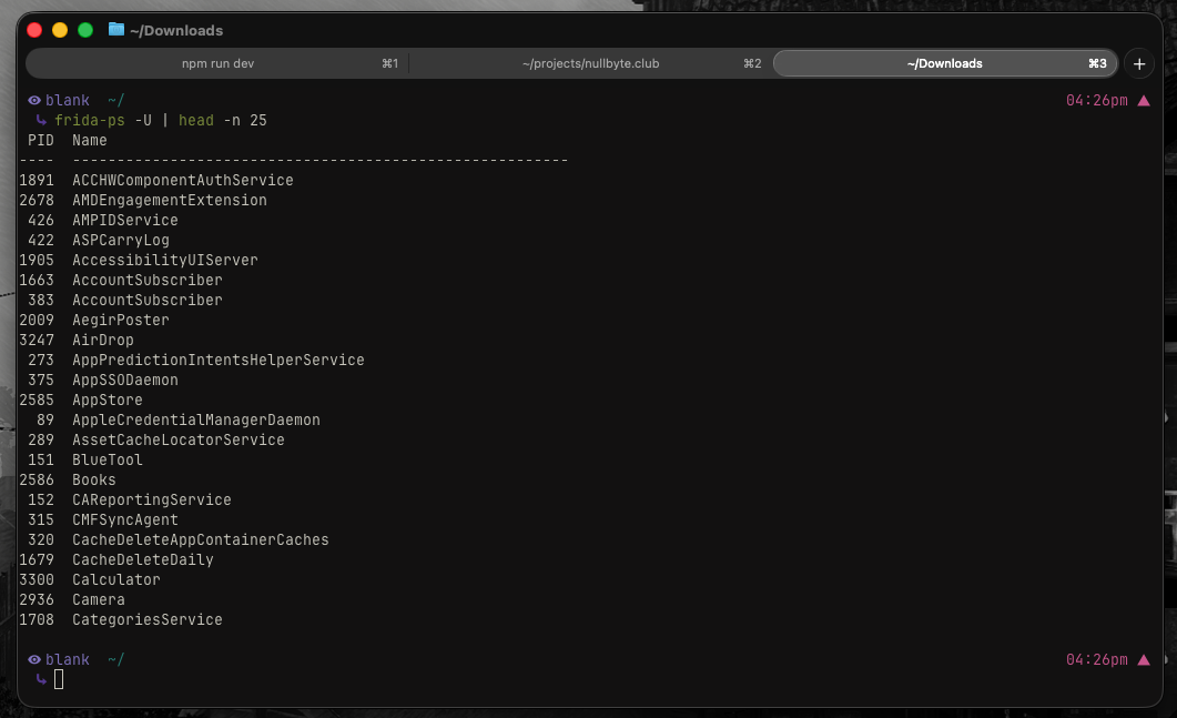 output-install-fridaps