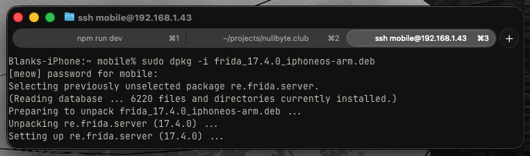 example-output-frida-server-install